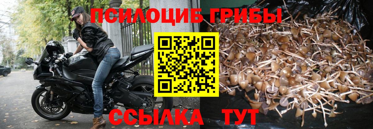 Псилоцибиновые грибы Psilocybine cubensis  Псилоцибиновые грибы мухоморы  Вход с VPN  Ижевск 